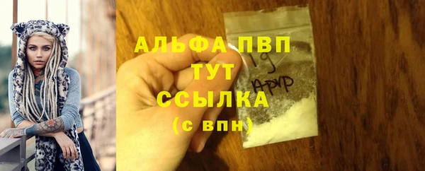 шишки Богданович