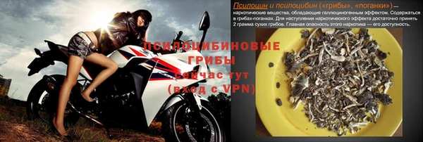 шишки Богданович