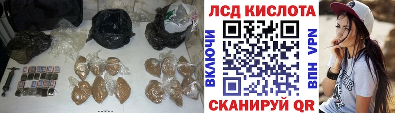 ЛСД экстази ecstasy  наркотики  Оса 