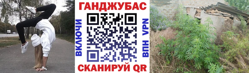 Бошки Шишки конопля  Оса 